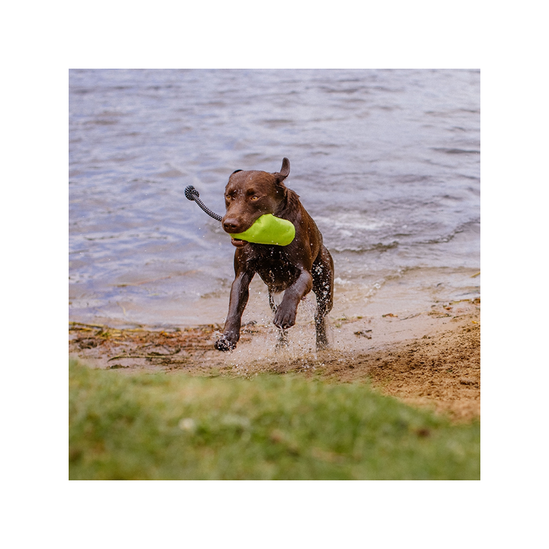 Nobby žalias skanėstų dėklas šunims, M
