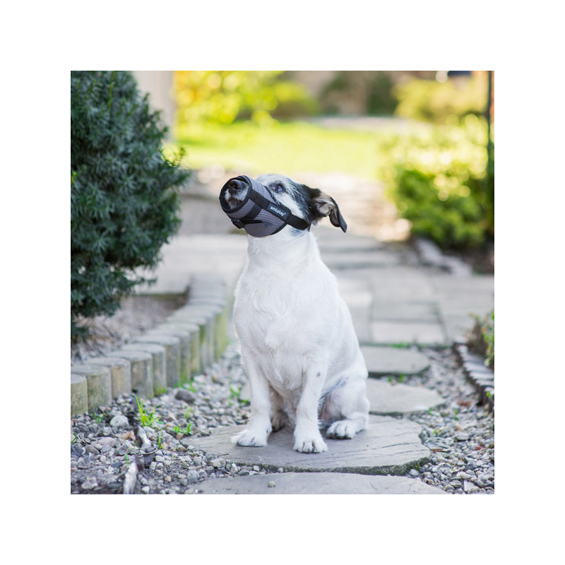 Amiplay Muzzle Air pilkas antsnukis šunims, XS