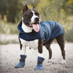 Amiplay Bristol raudonas lietpaltis šuniui, 32 cm