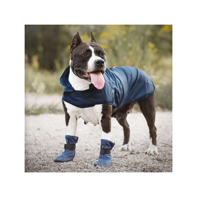 Amiplay Bristol raudonas lietpaltis šuniui, 38 cm