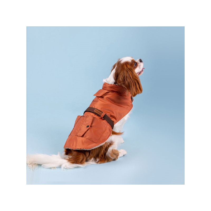 Amiplay Coat Bled mėlynas paltas šuniui, 27 cm