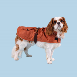 Amiplay Coat Bled mėlynas paltas šuniui, 32 cm