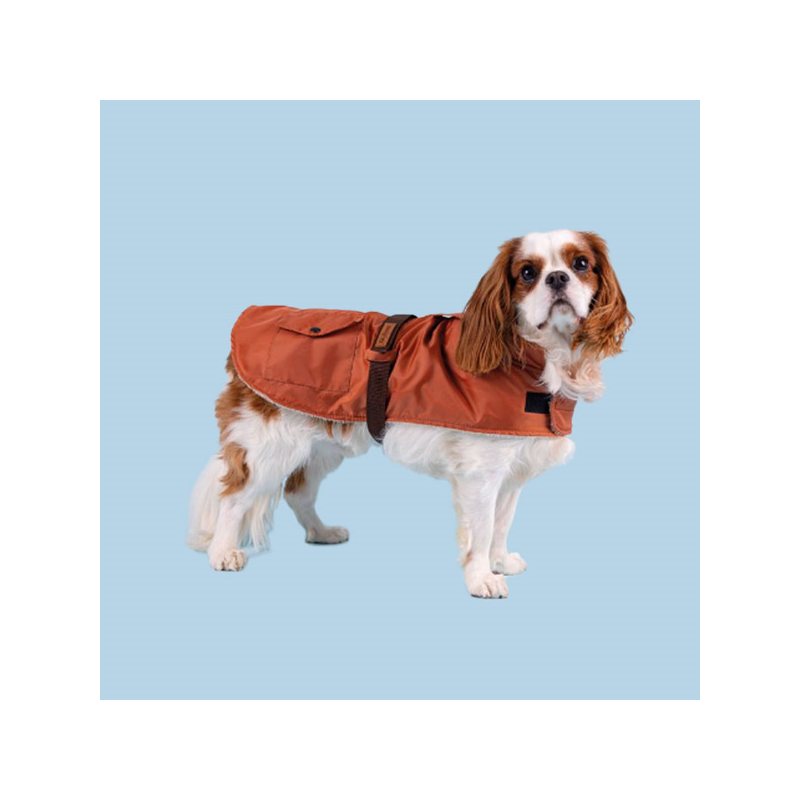 Amiplay Coat Bled oranžinis paltas šuniui, 23 cm