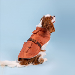 Amiplay Coat Bled oranžinis paltas šuniui, 23 cm