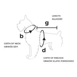 Amiplay Coat Bled oranžinis paltas šuniui, 27 cm