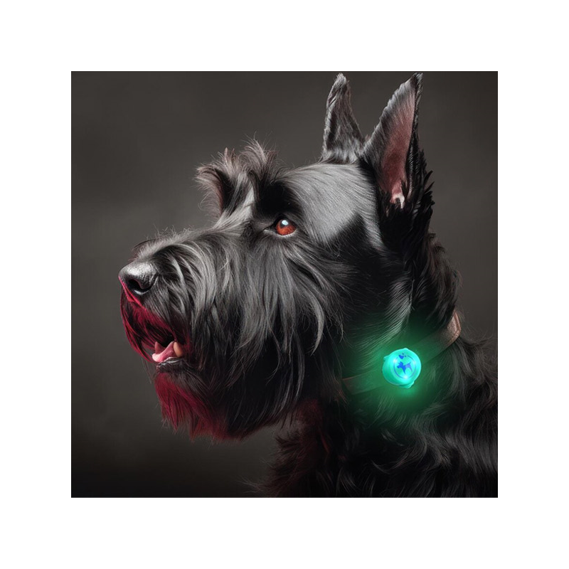 Happet Led žalia lemputė ant antkaklio šunims