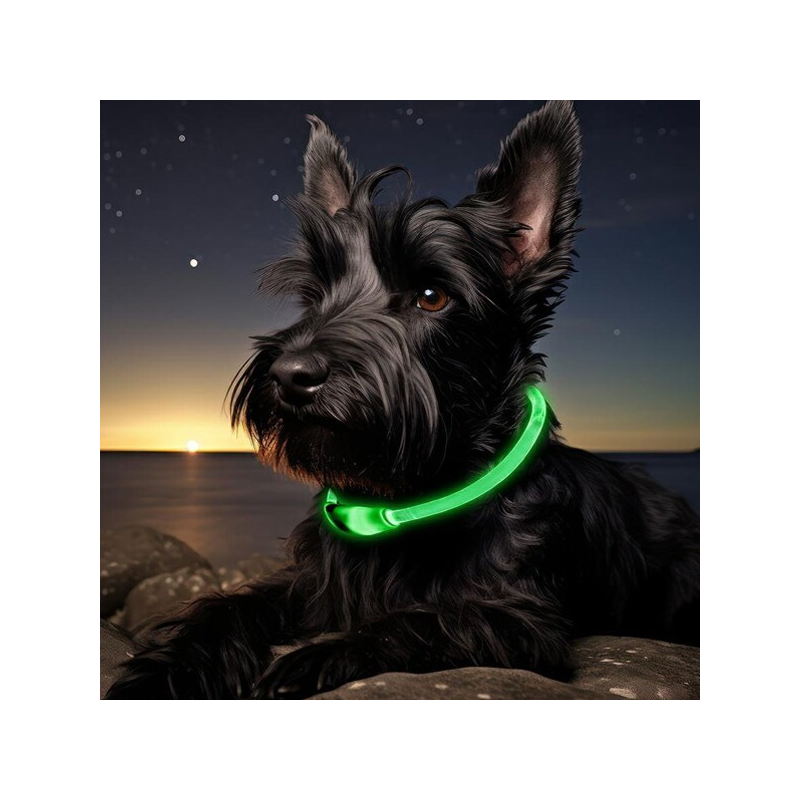 Happet šviečiantis antkaklis šunims, M, 55 cm