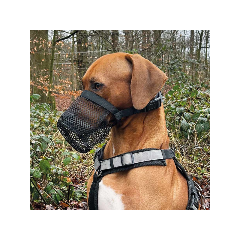 Nobby juodas antsnukis šunims nuo apnuodyto maisto, XS