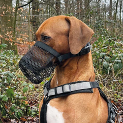 Nobby juodas antsnukis šunims nuo apnuodyto maisto, L