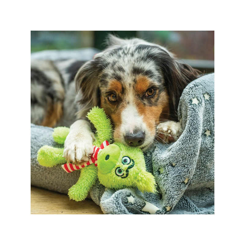 Nobby grinčas pliušinis žaislas šunims, 25 cm