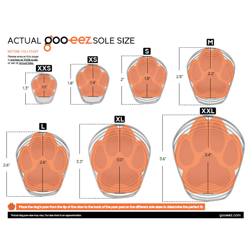 Goo-eez Lites juodi batai šunims, XL, 4 vnt.