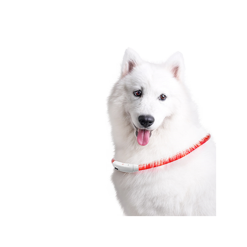 Nobleza LED šviečiantis antkaklis šunims, 70,8x1,5 cm