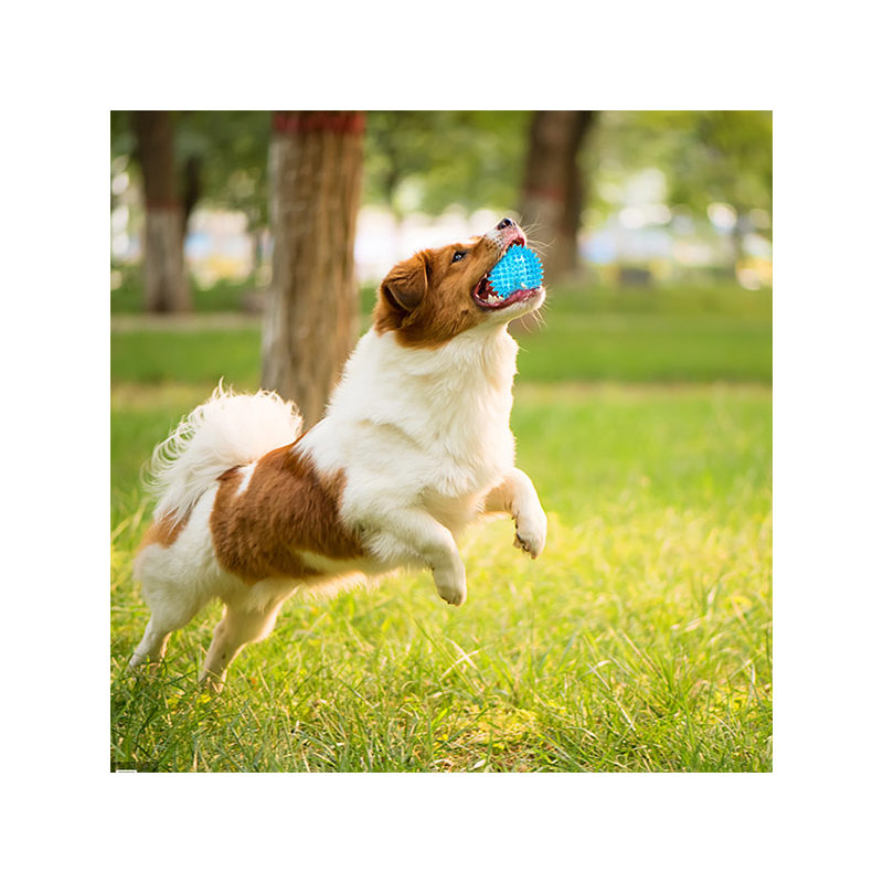 Nobleza šviečiantis kamuolys šunims, 7,5 cm