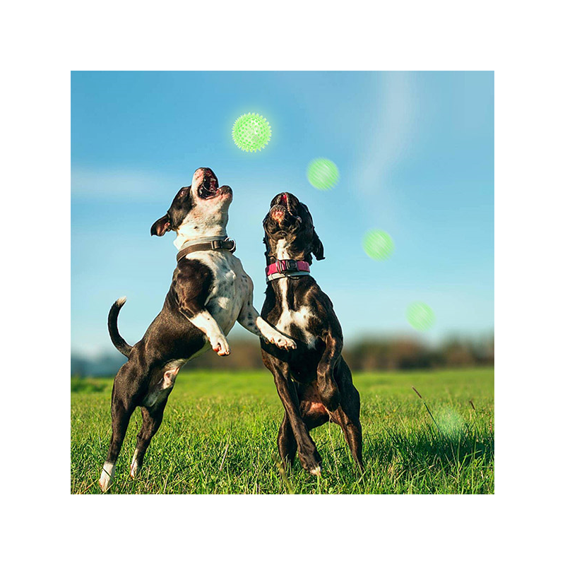 Nobleza šviečiantis kamuolys šunims, 7,5 cm