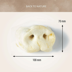 Antos kiaulių knyslės skanėstai šunims, 1 vnt.