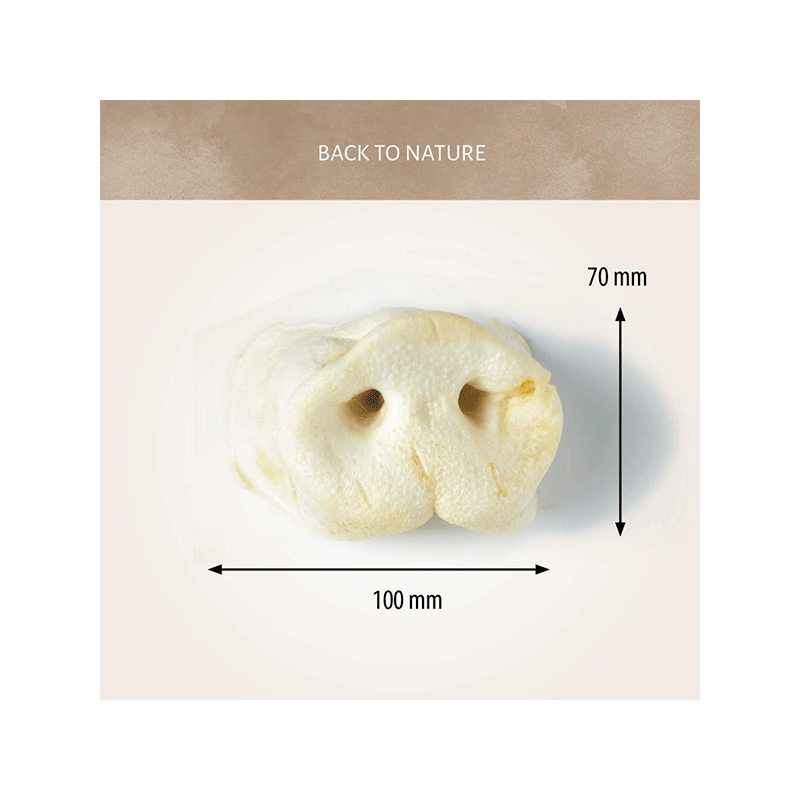 Antos kiaulių knyslės skanėstai šunims, 1 vnt.