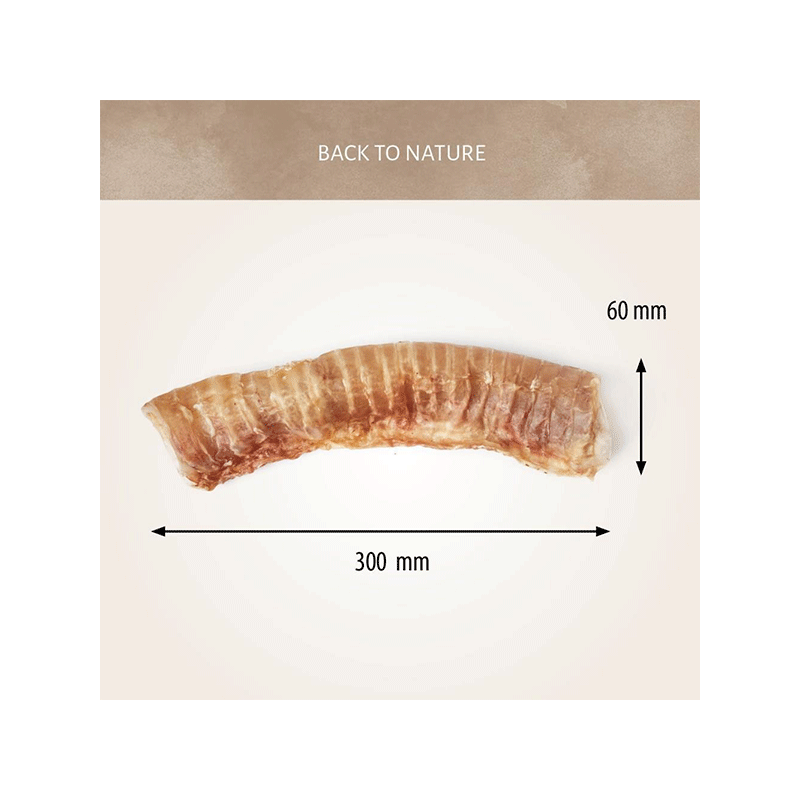 Antos jaučių trachėjos skanėstai šunims, 1 vnt.