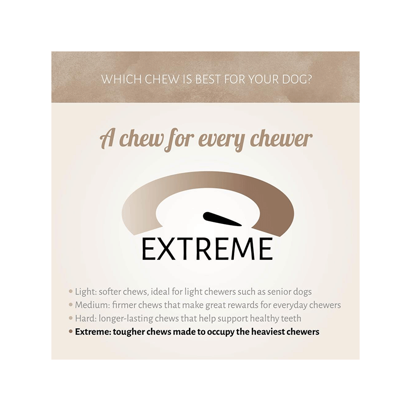 Antos kaulas skanėstas šunims, 2,56 kg