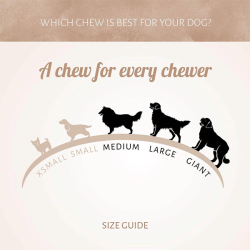 Antos kaulas skanėstas šunims, 2,56 kg