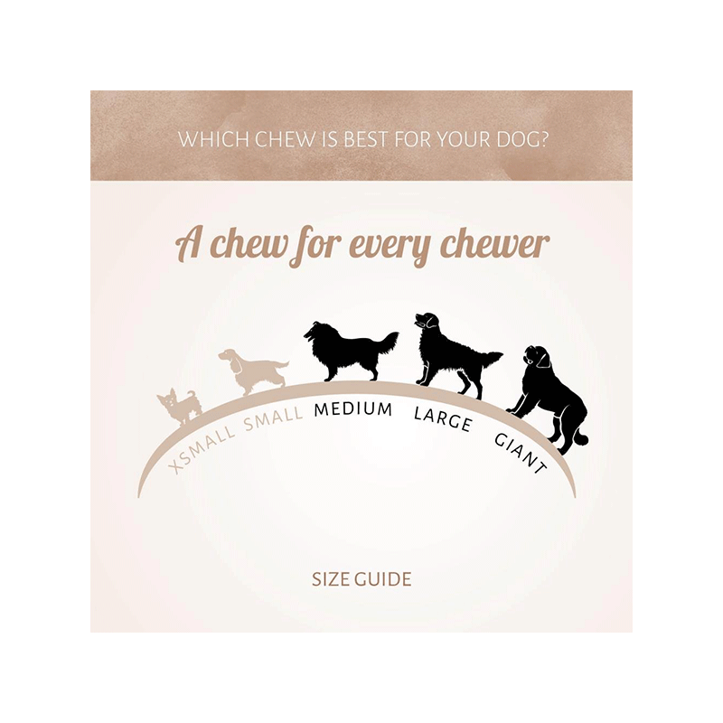 Antos kaulas skanėstas šunims, 2,56 kg