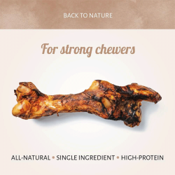 Antos arklienos kaulas skanėstas šunims, 2,5 kg