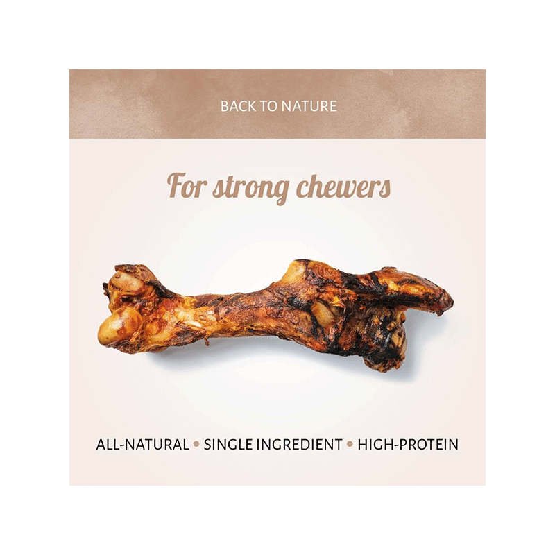 Antos arklienos kaulas skanėstas šunims, 2,5 kg
