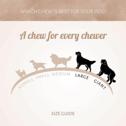 Antos arklienos kaulas skanėstas šunims, 2,5 kg