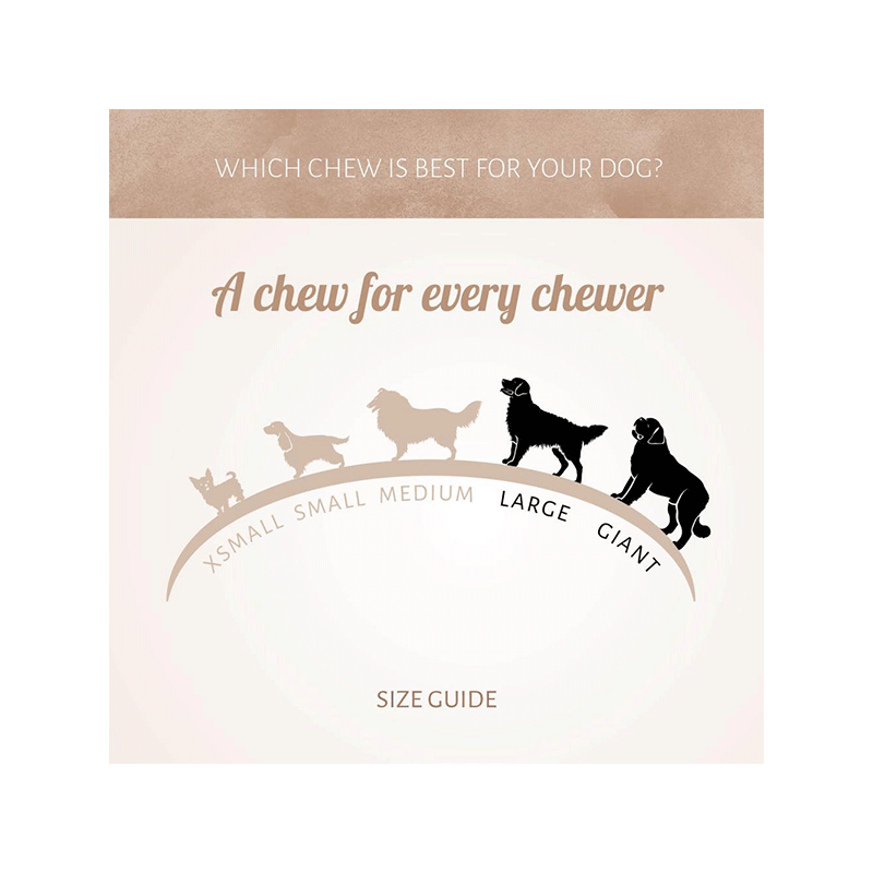 Antos arklienos kaulas skanėstas šunims, 2,5 kg