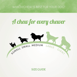 Antos D'light Lollies vištienos skanėstai šunims, 400 g