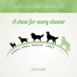 Antos D'light Calcium vištienos ir kalcio skanėstai šunims, 100 g