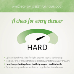 Antos D'light Duck antienos mazgeliai skanėstai šunims, 100 g