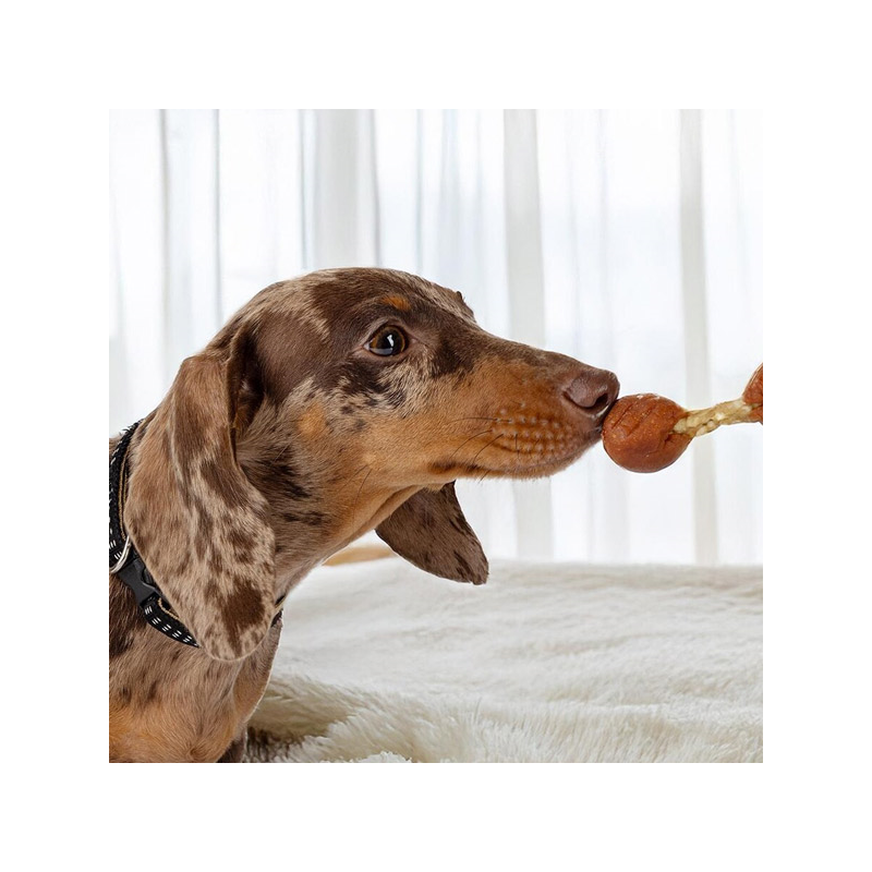 Happet Happ Snack triušienos lazelės skanėstai šunims, 500 g