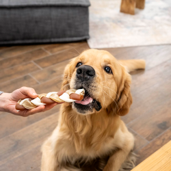 8in1 Delights Chewy Braids skanėstas mažų veislių šunims, 75 g