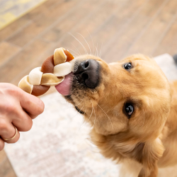 8in1 Delights Chewy Braids skanėstas mažų veislių šunims, 75 g
