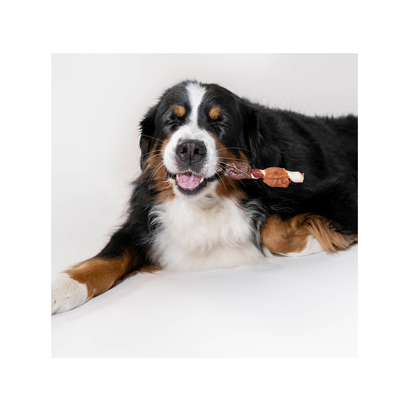 8in1 Flavours Mega Skewers trigubo skonio skanėstas šunims, 160 g