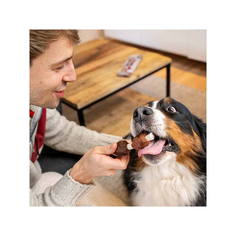 8in1 Flavours Mega Skewers trigubo skonio skanėstas šunims, 160 g