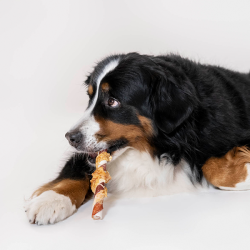 8in1 Flavours Mega Twisted Sticks trigubo skonio skanėstas šunims, 140 g