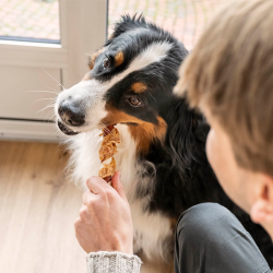 8in1 Flavours Mega Twisted Sticks trigubo skonio skanėstas šunims, 140 g