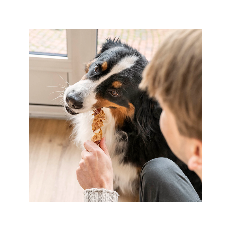 8in1 Flavours Mega Twisted Sticks trigubo skonio skanėstas šunims, 140 g
