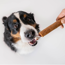8in1 Flavours Mega Ribs trigubo skonio skanėstas šunims, 140 g