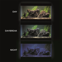 Aquael Leddy Tube Sunny D+N akvariumo lempa 10 W