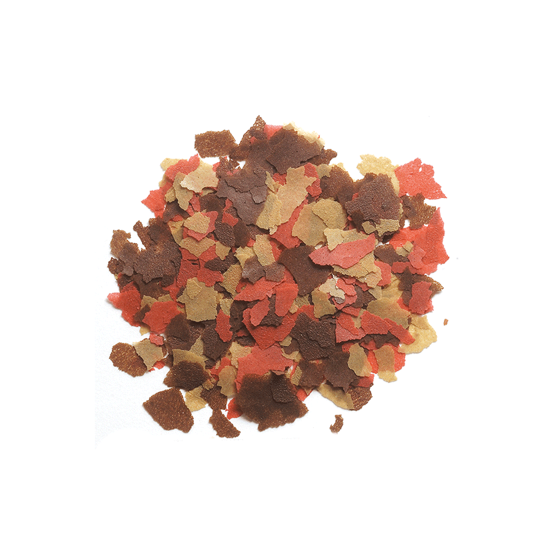 Tetra Colour Flakes pašaras auksinėms žuvims, 12 g