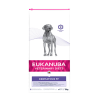 Eukanuba Dermatosis FP sausas maistas šunims, 12 kg