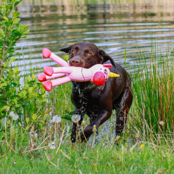 Nobby vienaragis, plūduriuojantis žaislas šunims
