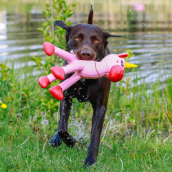 Nobby vienaragis, plūduriuojantis žaislas šunims