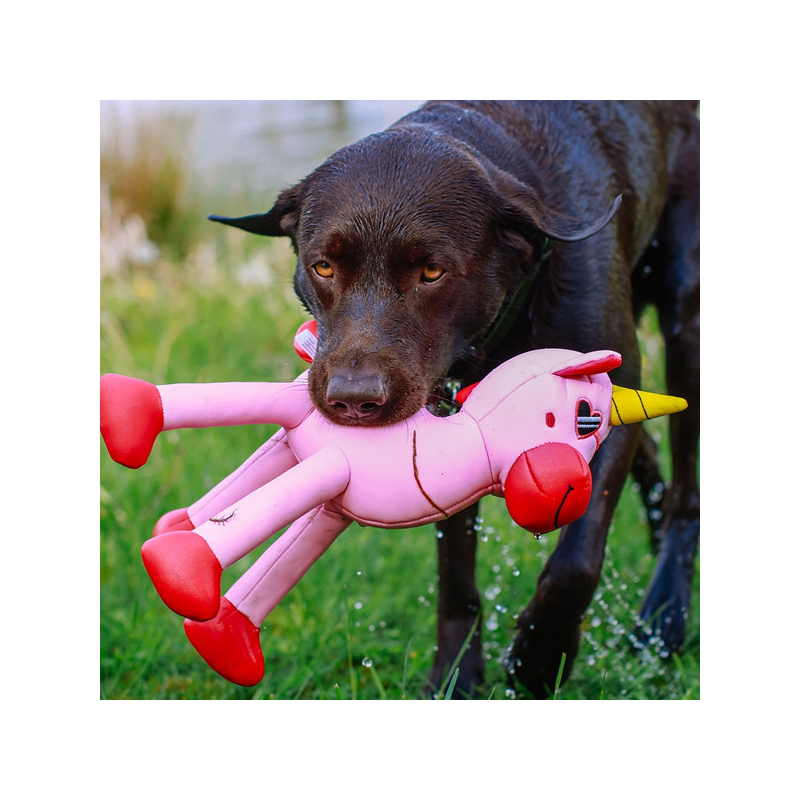 Nobby vienaragis, plūduriuojantis žaislas šunims