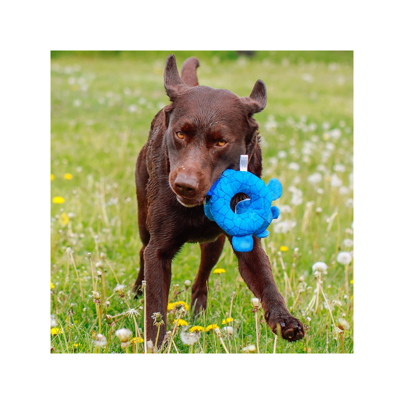 Nobby bebras, plūduriuojantis žaislas šunims