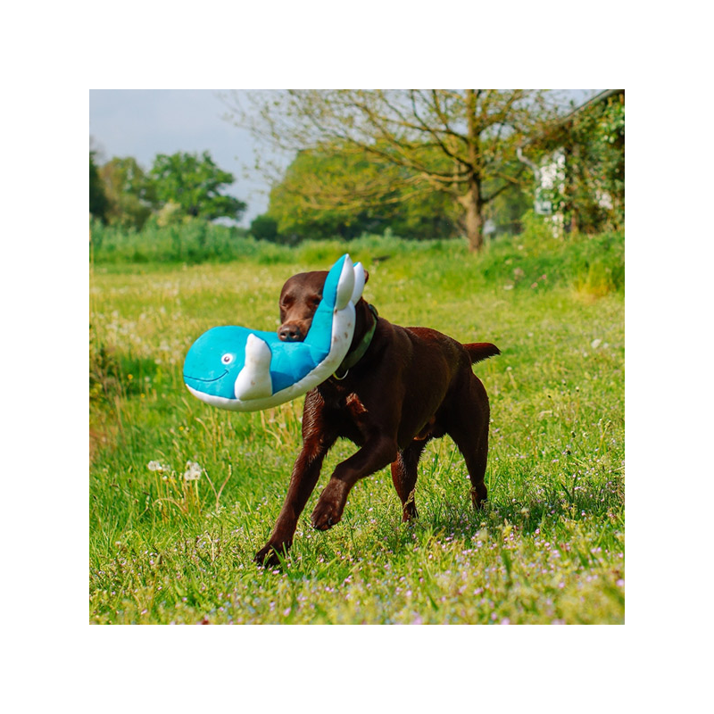 Nobby banginis XL, plūduriuojantis žaislas šunims