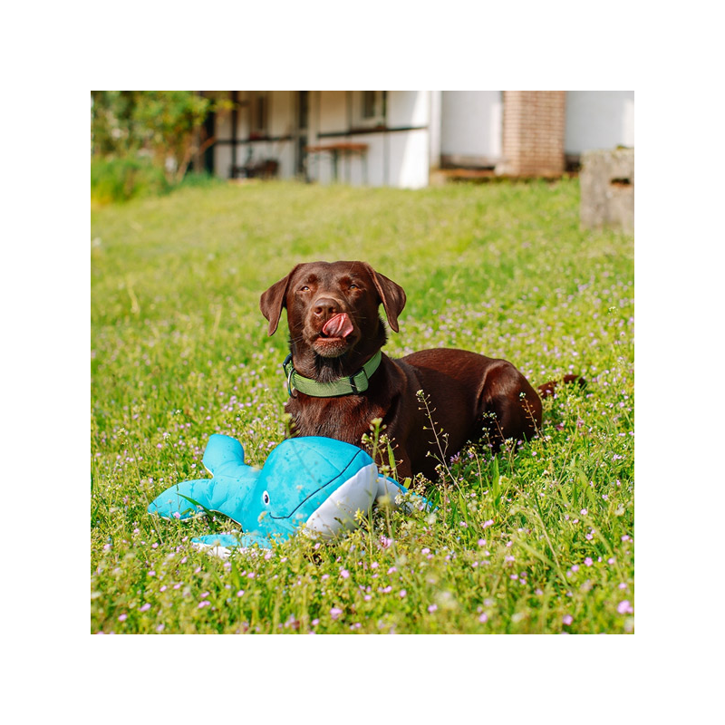 Nobby banginis XL, plūduriuojantis žaislas šunims