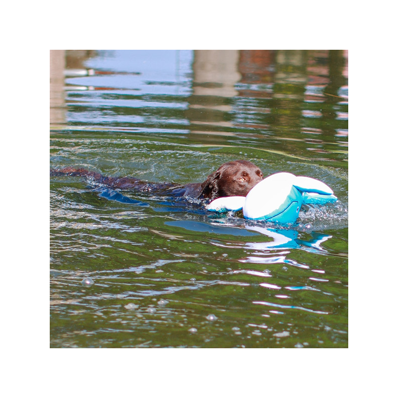 Nobby banginis XL, plūduriuojantis žaislas šunims